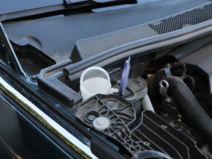 2019400THP ŞA 7 (gu)VI 