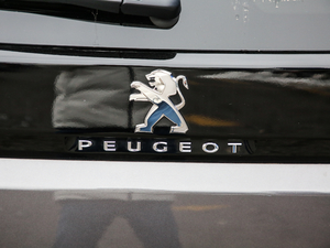 2019400THP ŞGT 7 VI ^