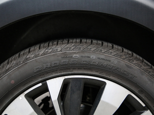 2019400THP ŞGT 7 VI ^