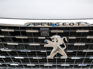 2019400THP ŞGT 7 VI ^