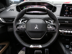 2019400THP ŞGT 7 VI P