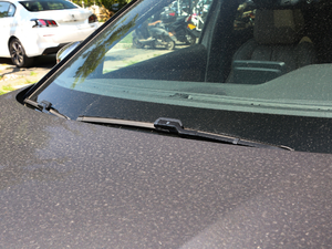 2019380THP AGT 7 VI ˢ