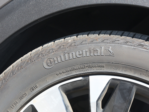 2019380THP AGT 7 VI ݆̥Ʒ