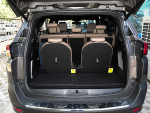 2019380THP AGT 7 VI g