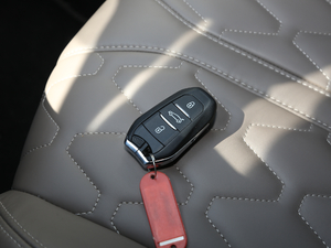 2019380THP AGT 7 VI ܇耳