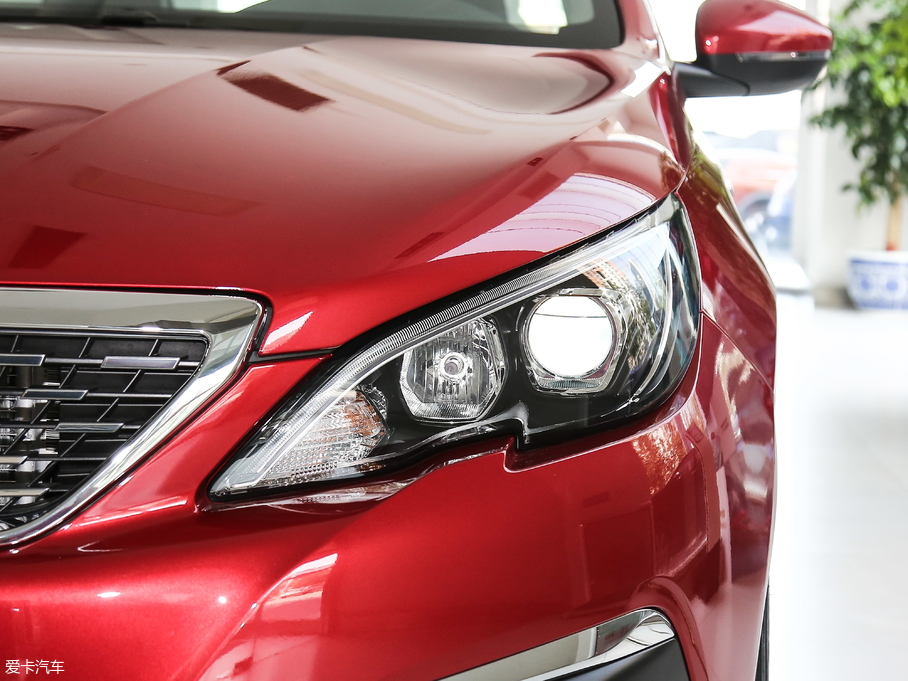 2019(bio)308 230THP ԄӺA VI