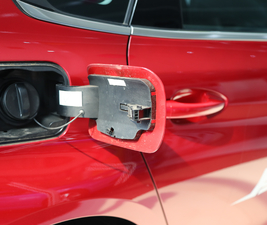 2019190THP ԄӺA V ^