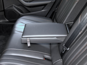 2021款1.6T 插混科技版 后排中央扶手