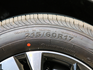 2020230THP Jа ݆̥ߴ