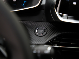 2020230THP 3Dа п؅^