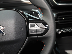 2020230THP L촰 п؅^