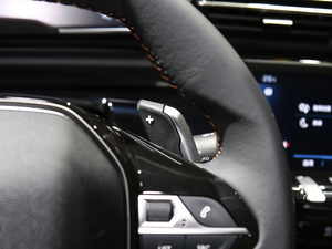 2021400THP PureTech SӰ п؅^