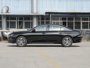 2021400THP PureTech {ذ ȣ