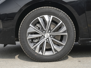 2021400THP PureTech {ذ ݆Ȧ