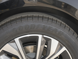 2021400THP PureTech {ذ ݆̥Ʒ