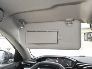 2021400THP PureTech {ذ g