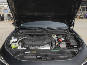 2021400THP PureTech {ذ lәC