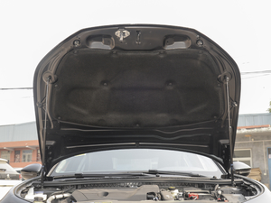 2021400THP PureTech {ذ 