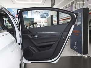 2021360THP PureTech h g