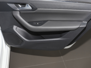 2021360THP PureTech h g