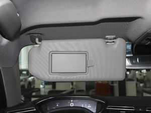 2021360THP PureTech h ꖰ壨