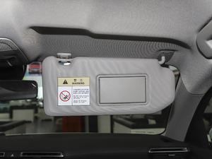 2021360THP PureTech h g