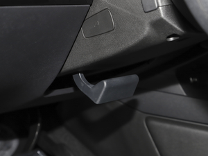 2021360THP PureTech h g