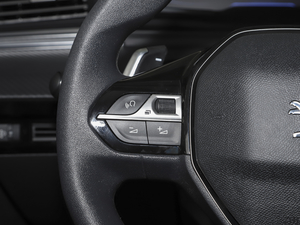 2021360THP PureTech h {