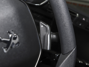 2021360THP PureTech h п؅^