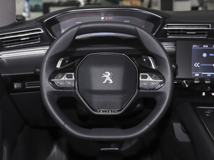 2021360THP PureTech h P