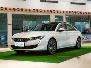 2021360THP PureTech {Ȥ w^