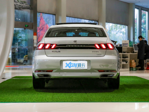 2021360THP PureTech {Ȥ 	