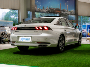 2021360THP PureTech {Ȥ w^