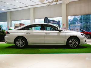 2021360THP PureTech {Ȥ w^