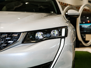 2021360THP PureTech {Ȥ 