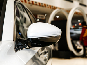 2021360THP PureTech {Ȥ ҕR