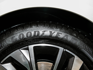 2021360THP PureTech {Ȥ ݆̥Ʒ