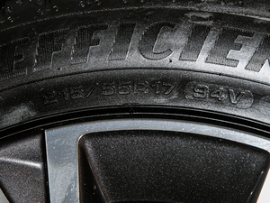 2021360THP PureTech {Ȥ ݆̥ߴ