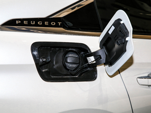 2021360THP PureTech {Ȥ w