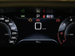 2021360THP PureTech {Ȥ п؅^(q)