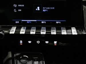 2021360THP PureTech {Ȥ п؅^(q)