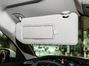 2021360THP PureTech {Ȥ g