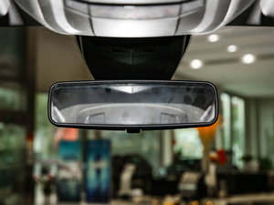 2021360THP PureTech {Ȥ ܇ȺҕR