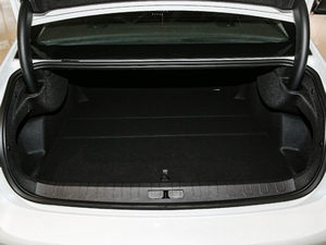 2021360THP PureTech {Ȥ g