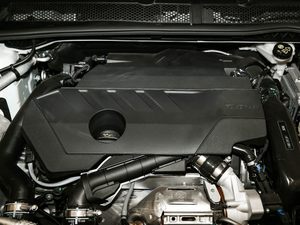 2021360THP PureTech {Ȥ 