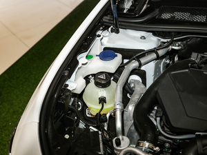 2021360THP PureTech {Ȥ 