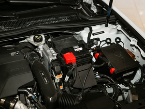 2021360THP PureTech {Ȥ 