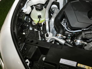 2021360THP PureTech {Ȥ 