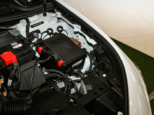 2021360THP PureTech {Ȥ 