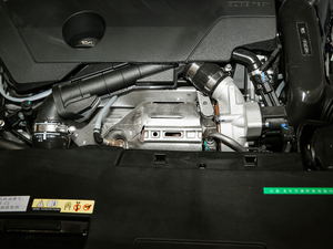 2021360THP PureTech {Ȥ 